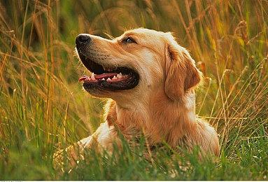 《王牌钓手 欢钓水族馆》新预告 10月27日登陆Switch